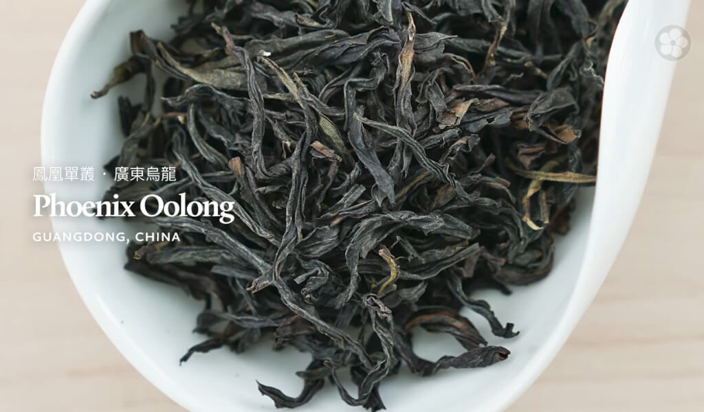 Dancong tea