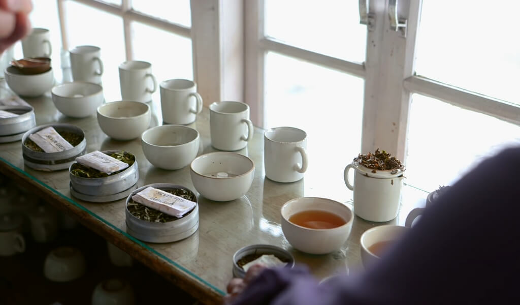 Darjeeling tea health benefits