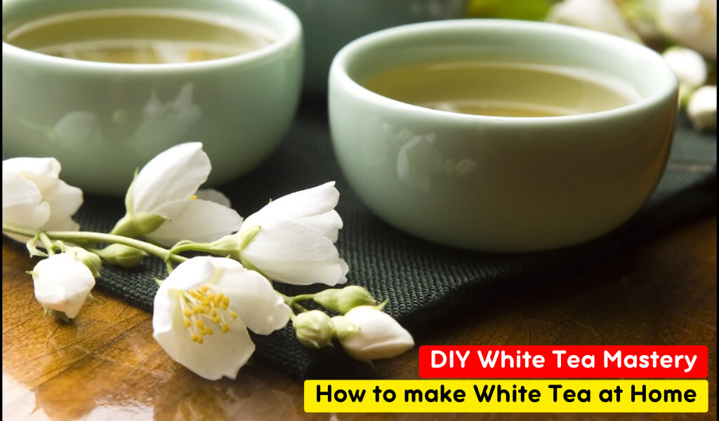 how to make white tea at home
