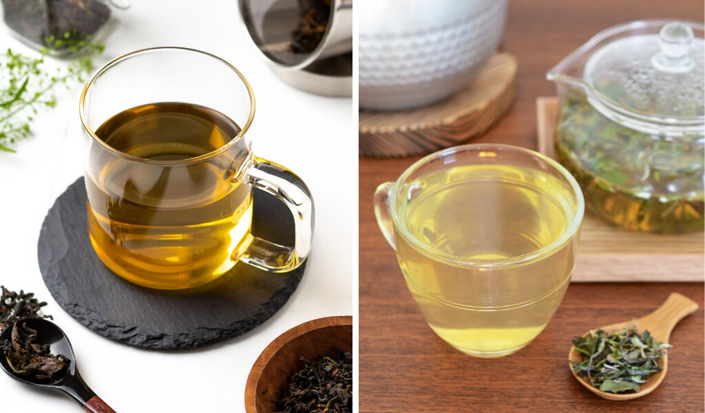 Oolong vs white tea health benefits