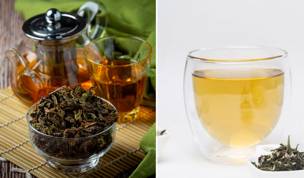 Oolong vs White tea weight loss