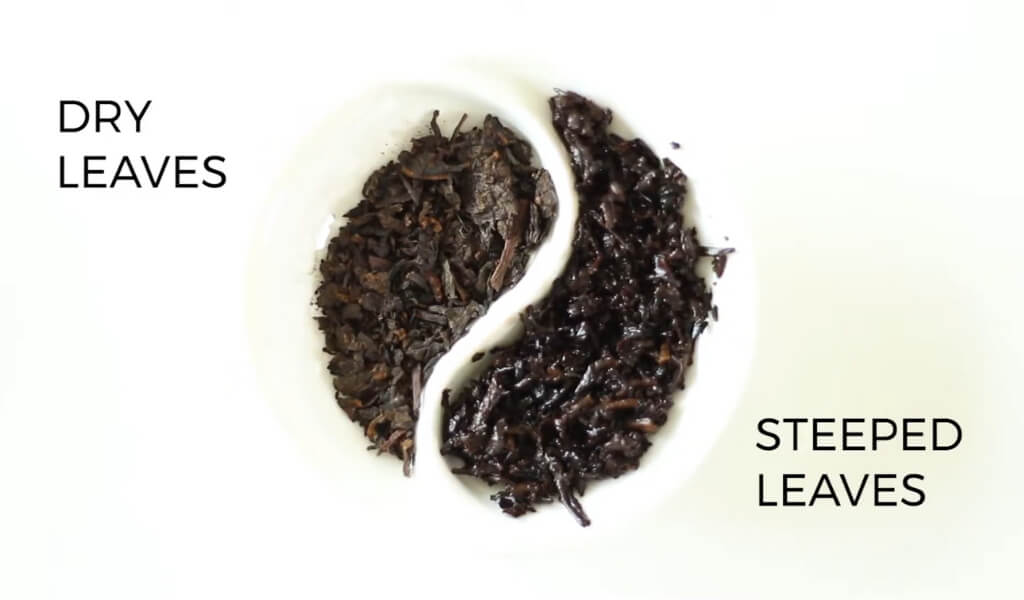 Dry leaves vs steeped pu erh tea