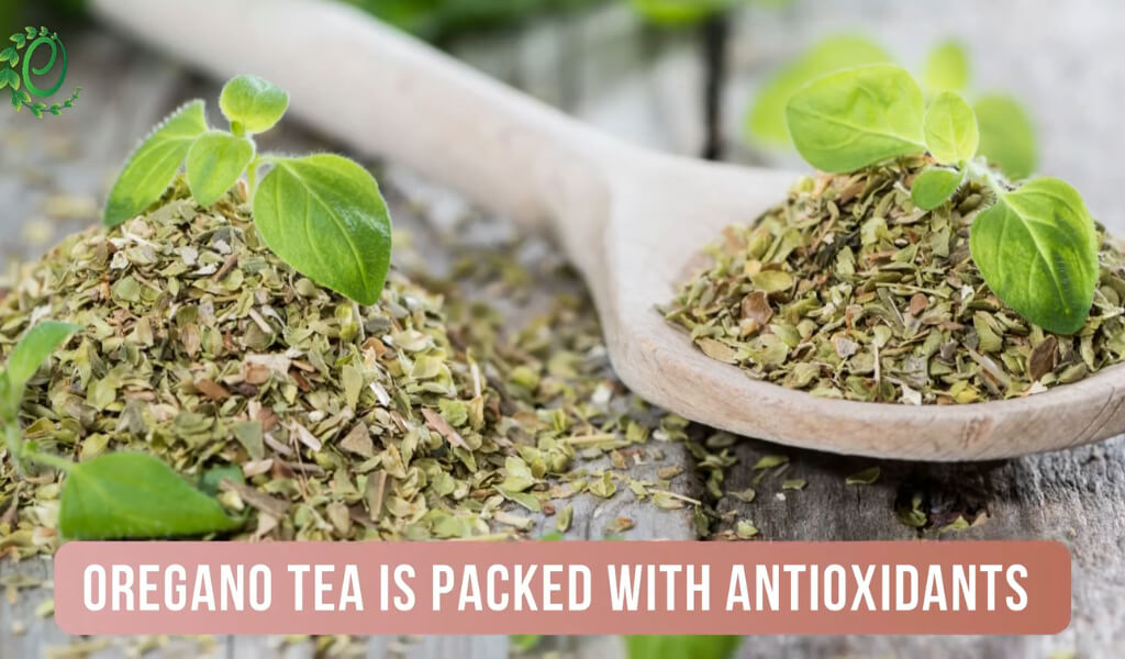 Benefits of Oregano tea