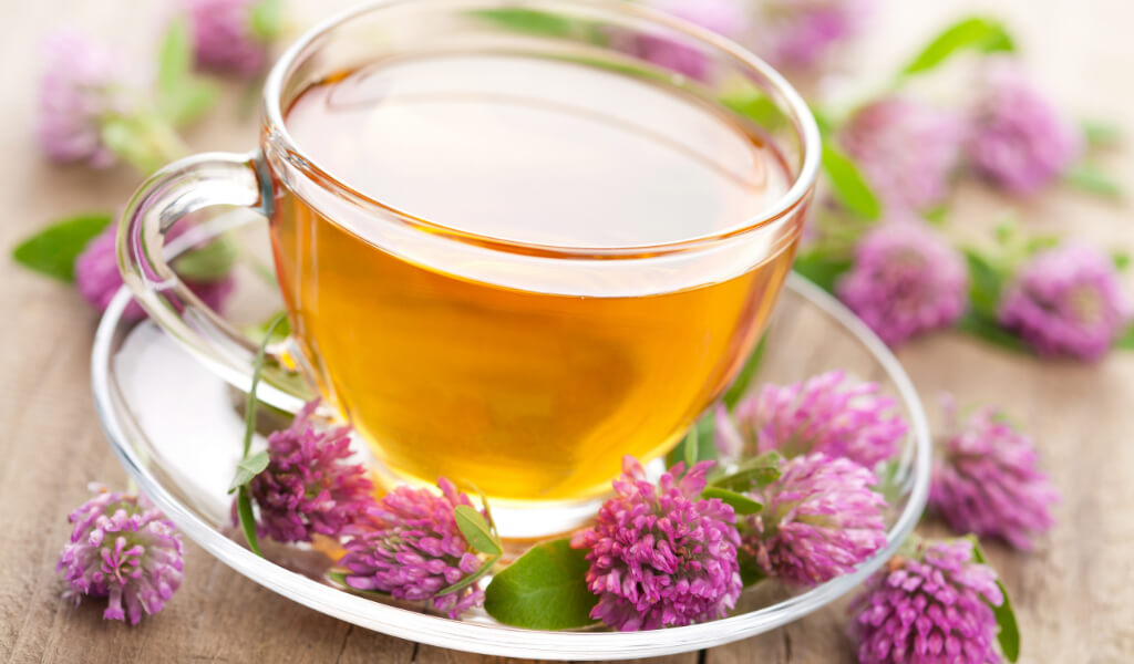 Blue Vervain tea benefits