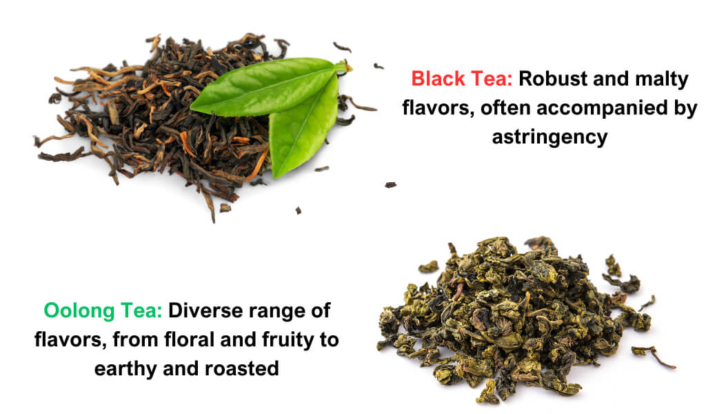 Oolong vs Black Tea Comparison Super interesting revelations