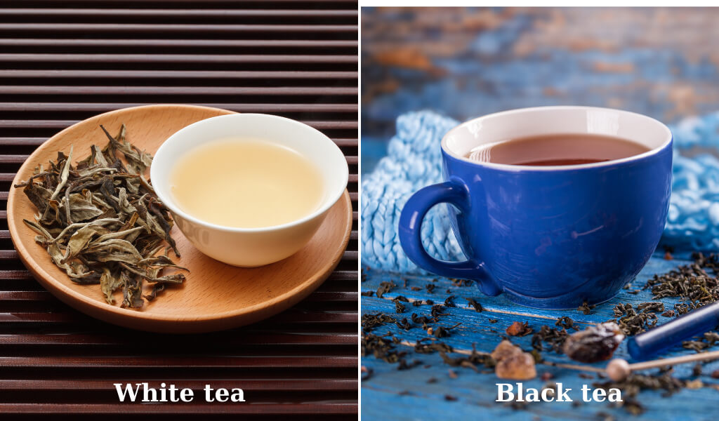difference between White tea and Black tea