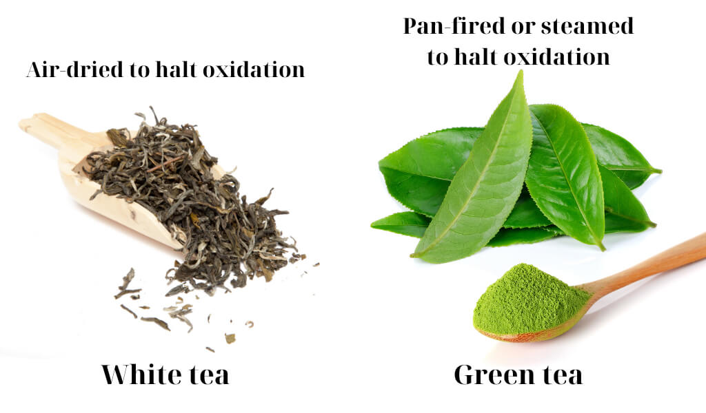 Green tea vs White tea