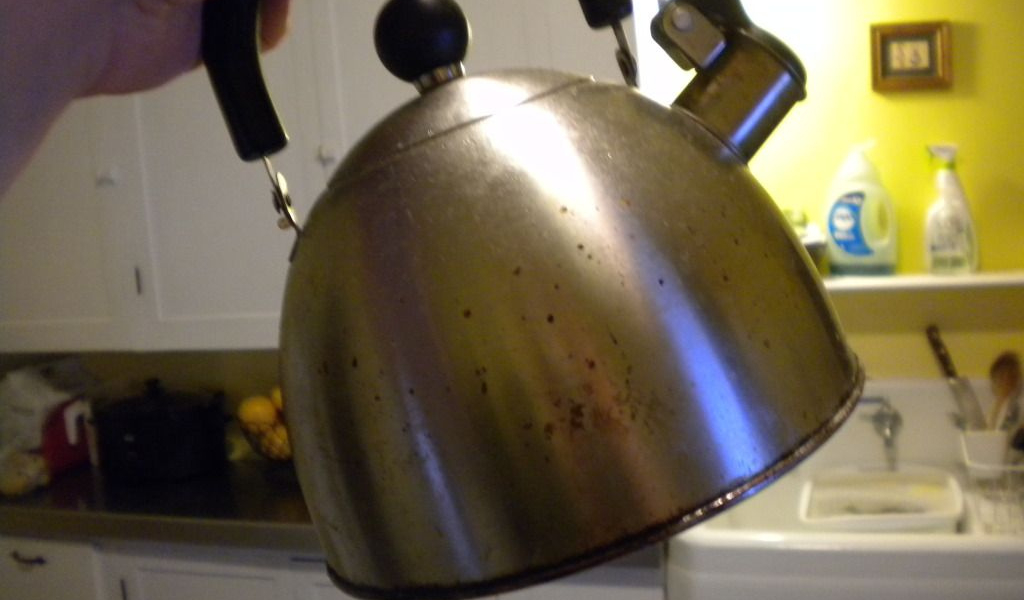 Stains on stainless steel tea pot : r/CleaningTips