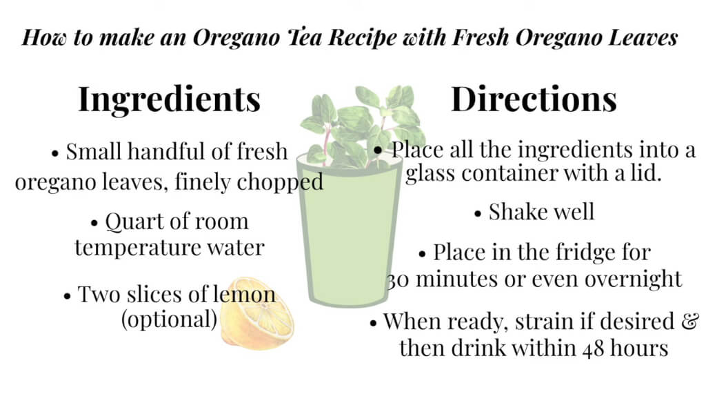 How to make Oregano Tea at home