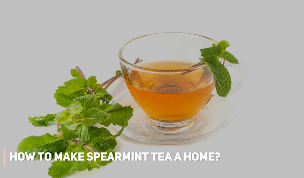 how to make Spearmint tea