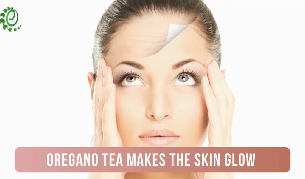 Oregano Tea Benefits for Skin