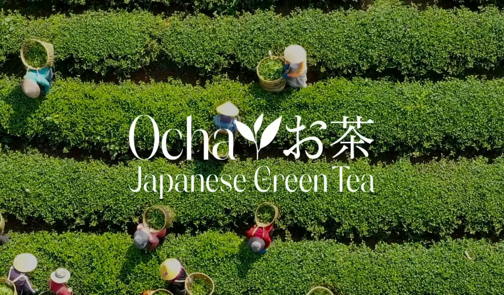 jappan green tea