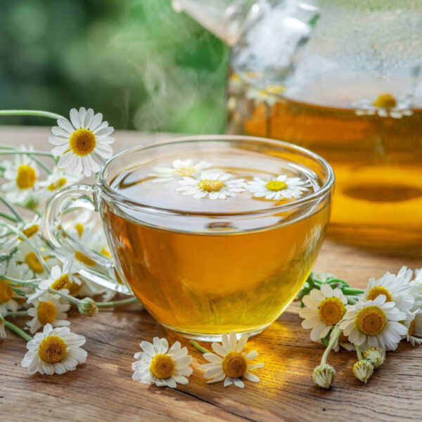 What Is Jasmine Tea Origin Tasting Tea Made Brewing what-is-jasmine-tea-origin-tasting-tea-made-brewing