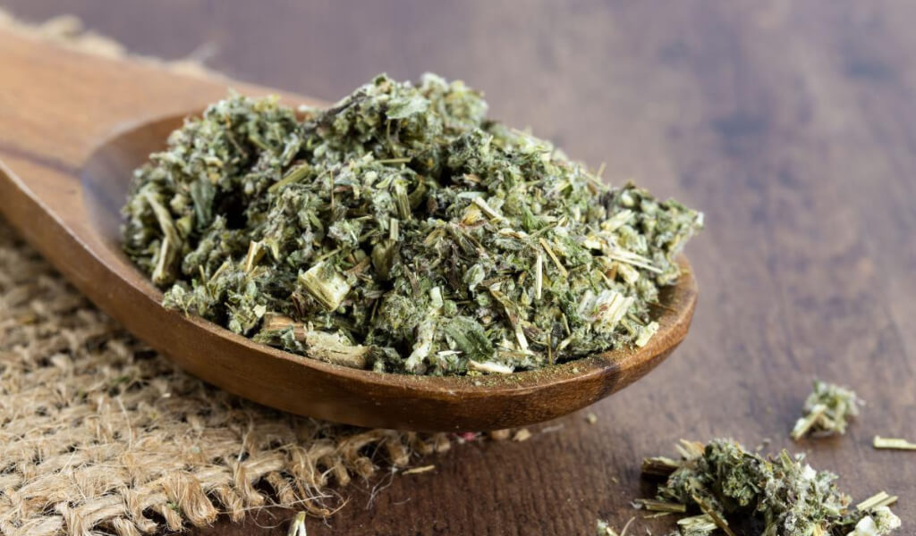 Mugwort benefits