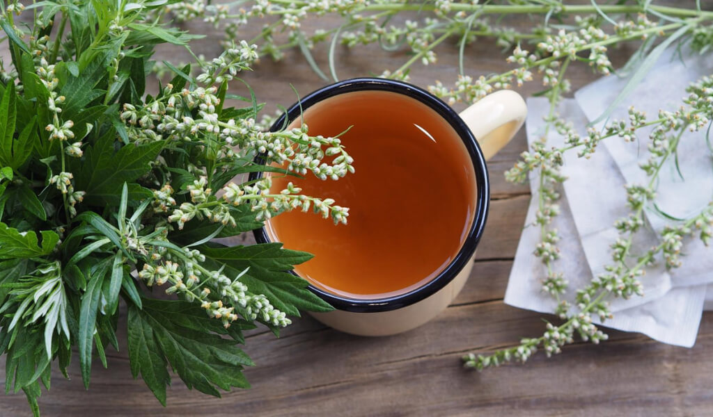 Mugwort tea benefits