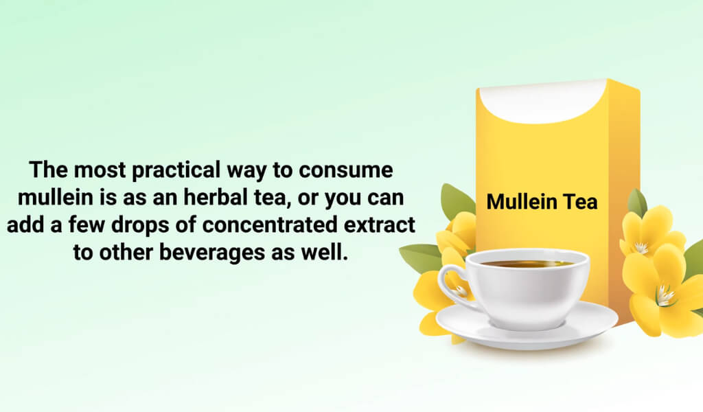 Mullein tea benefits