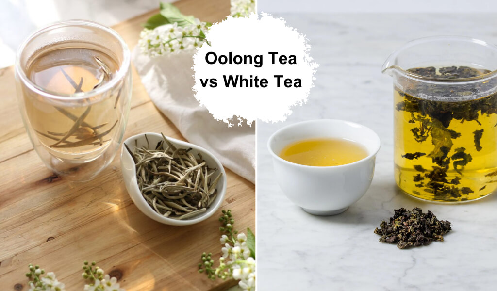 Oolong tea vs White tea