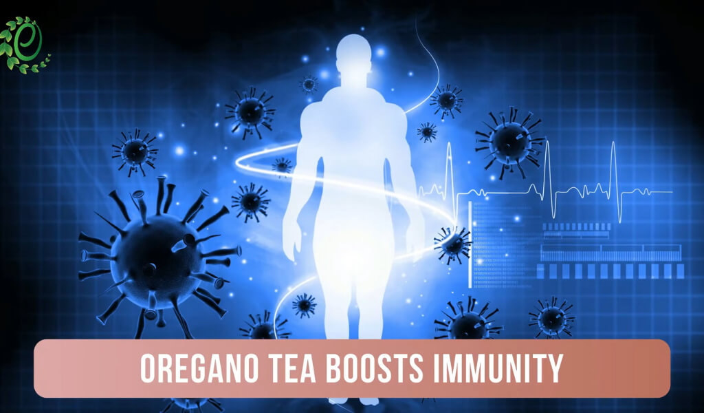 Oregano benefits tea