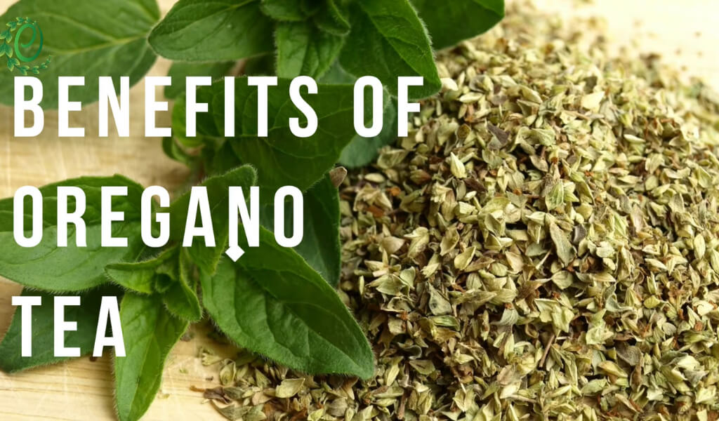 Oregano tea benefits