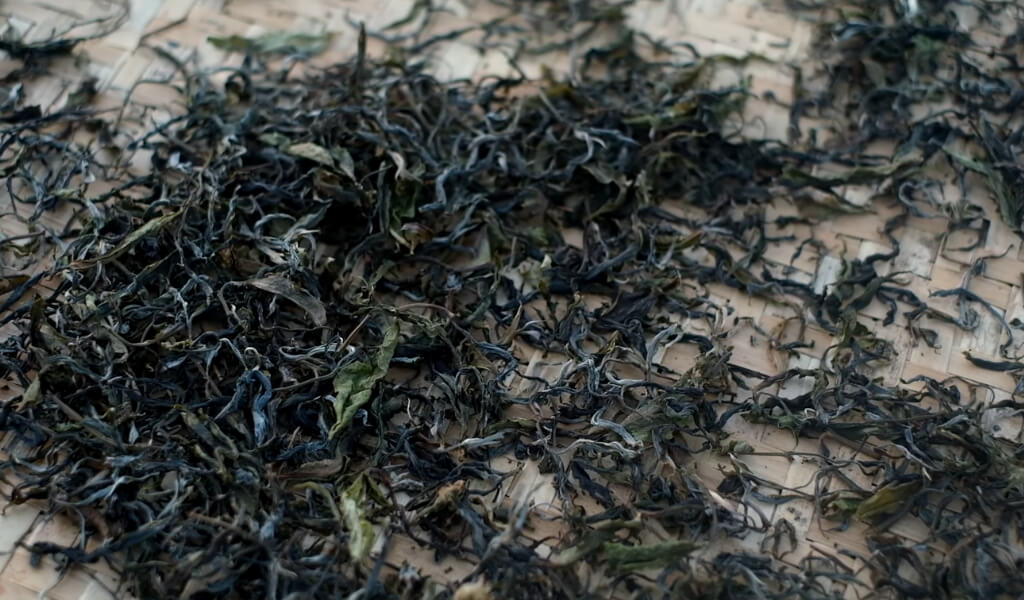 Pu-erh tea leaves