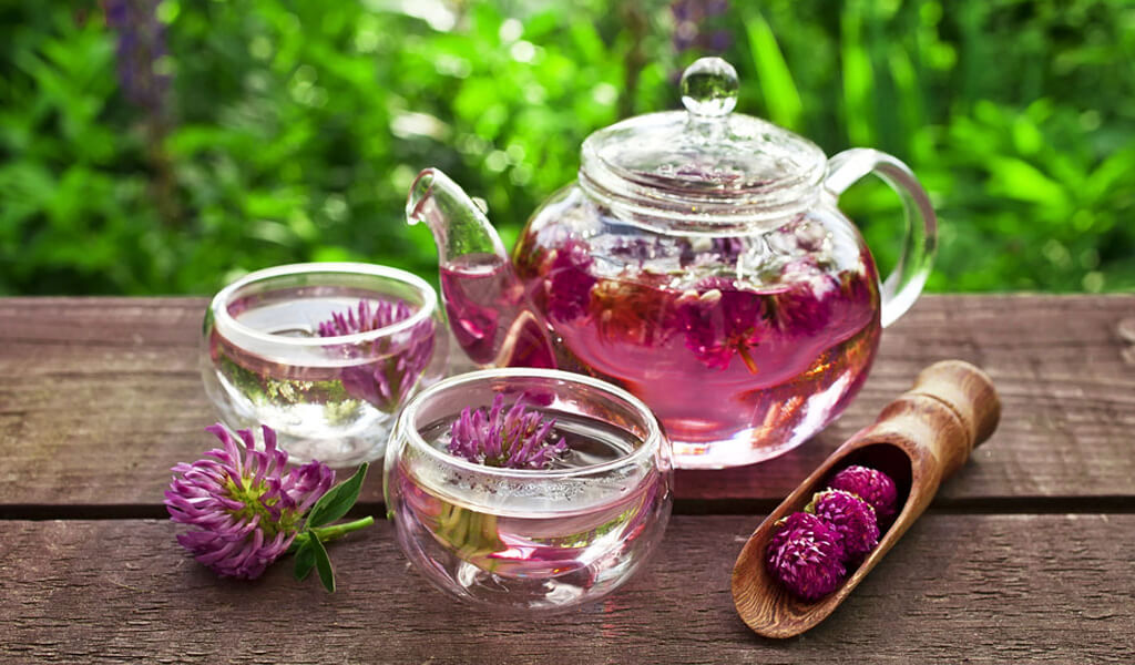 Red Clover tea