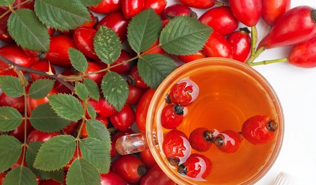 Rose hips tea