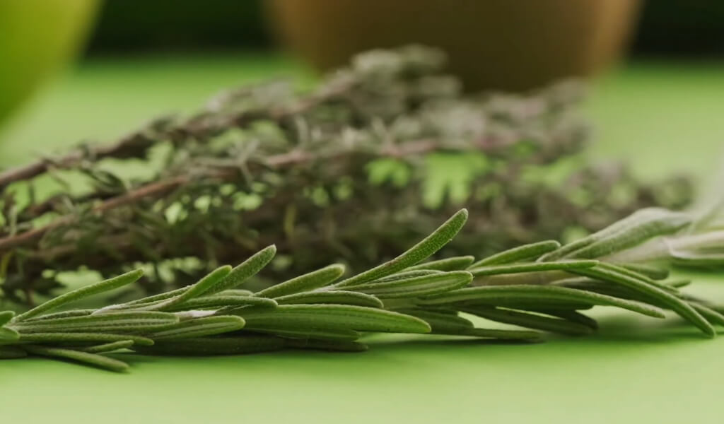 Rosemary health benefits