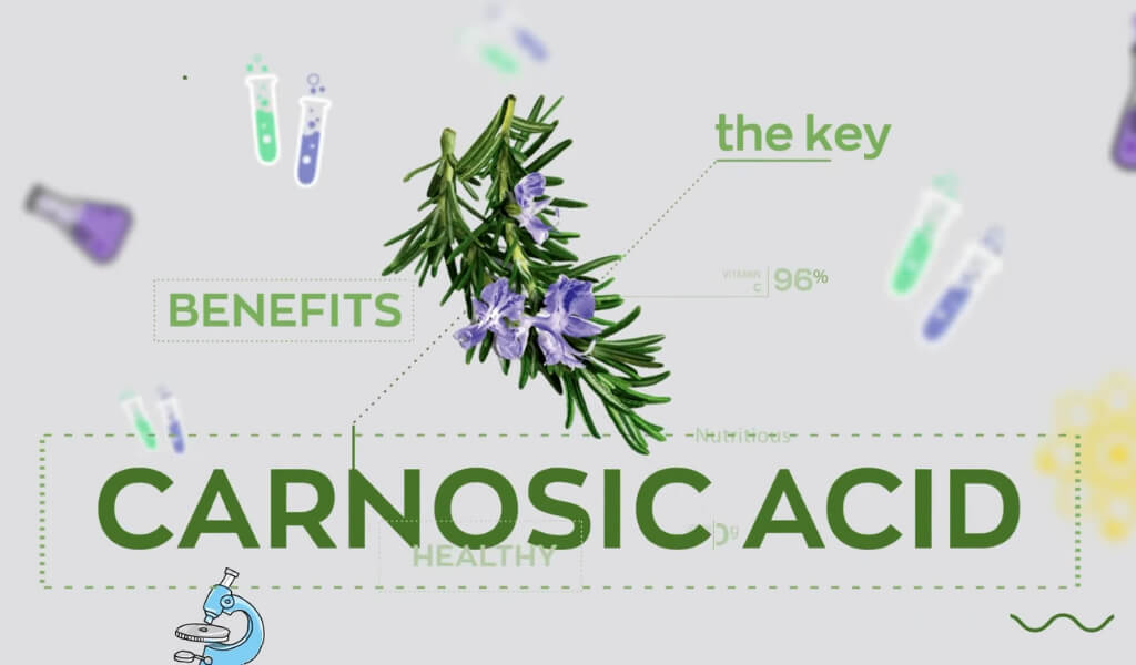 the benefits of Rosemary