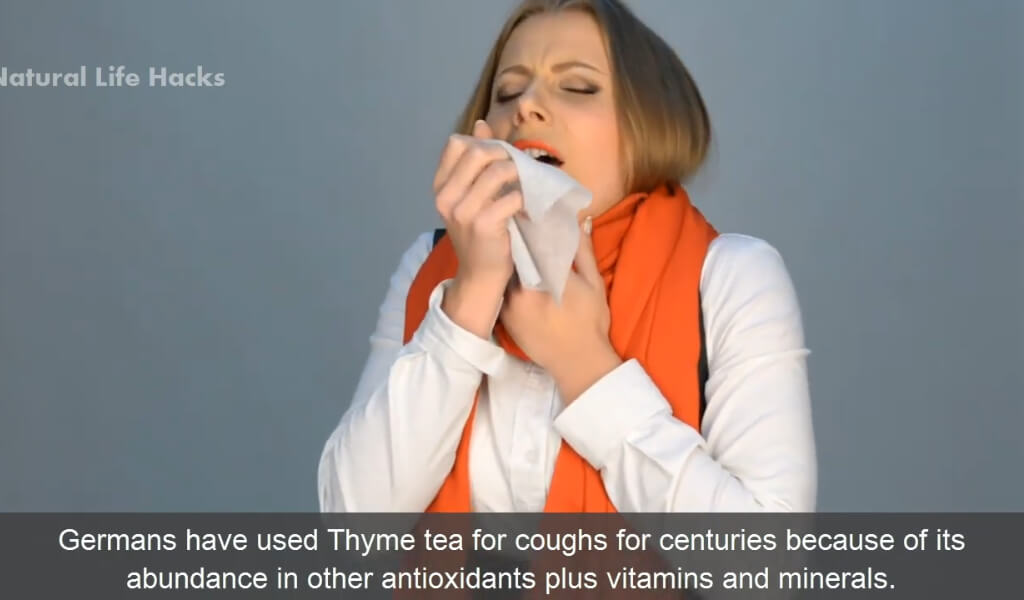 Thyme tea benefits cough