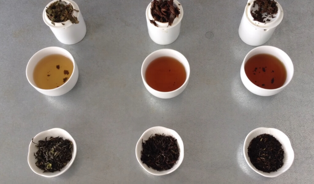 Types of Darjeeling Tea