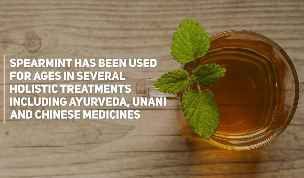 8 Life-Changing Benefits of Spearmint Tea