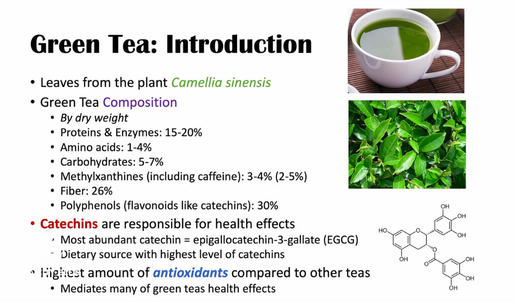 what is green tea made of