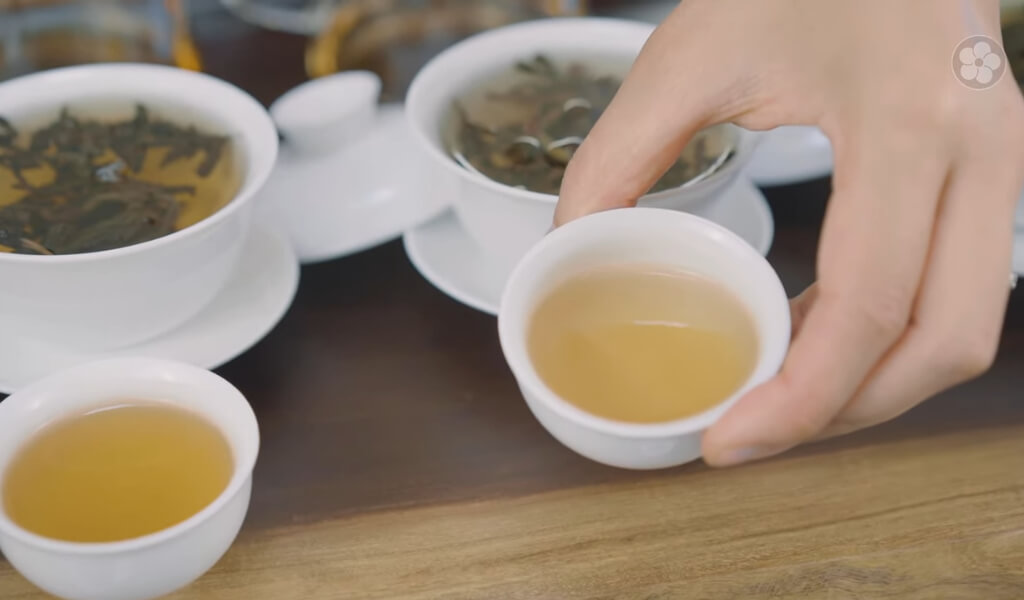 what is Oolong tea