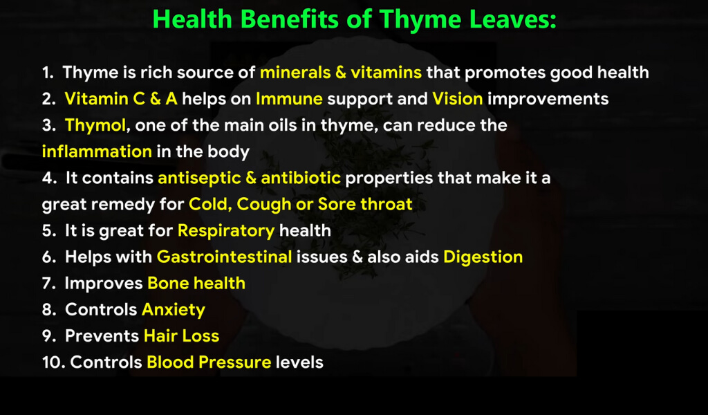 what is Thyme tea good for