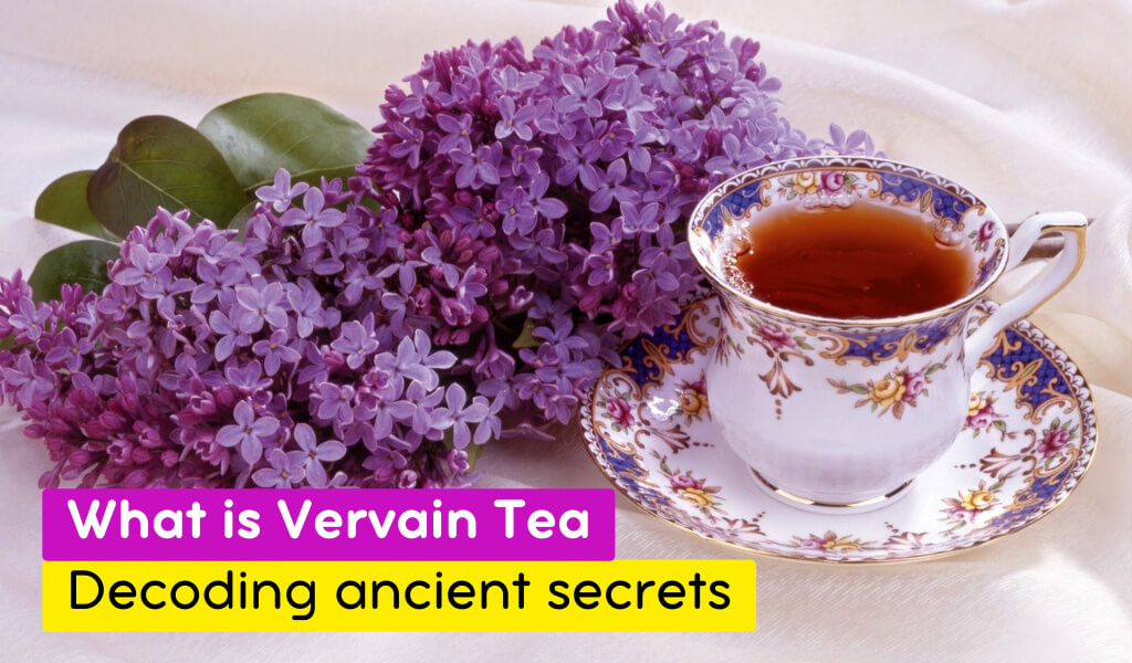 what is Vervain tea