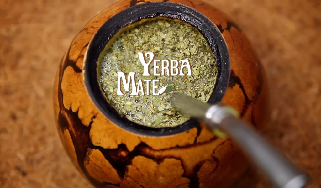 What Is Yerba Mate