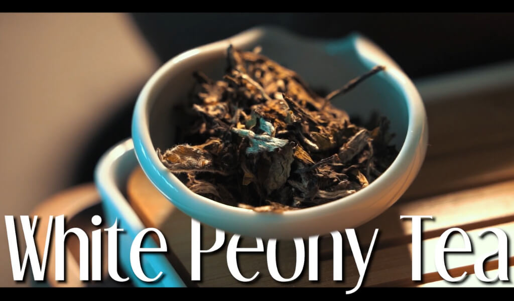 White Peony tea