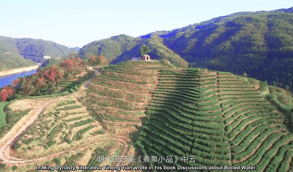 White tea from China