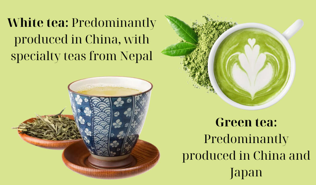 White Tea vs Green Tea Ultimate comparison on distinctive features