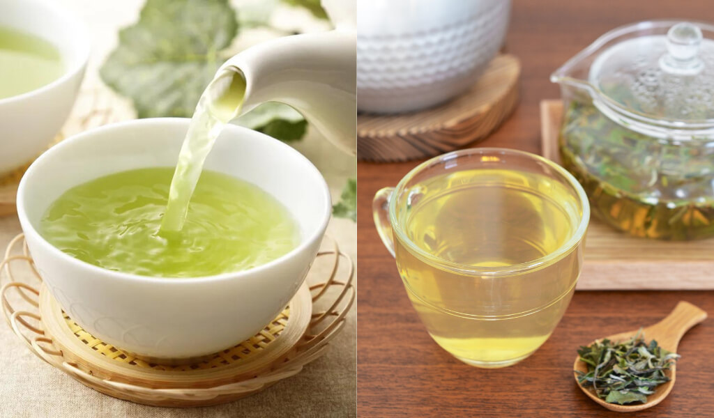 White tea vs Green tea